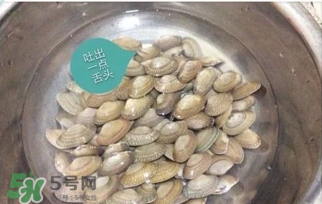 芒果螺怎么清洗？芒果螺怎么吃