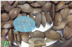芒果螺怎么清洗？芒果螺怎么吃