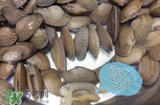 芒果螺怎么清洗？芒果螺怎么吃