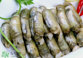 蟶子不能和什么一起吃？蟶子和什么不能一起吃？