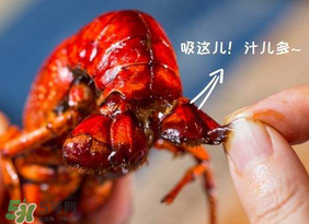 吃油燜大蝦會(huì)胖嗎？油燜大蝦的熱量是多少？