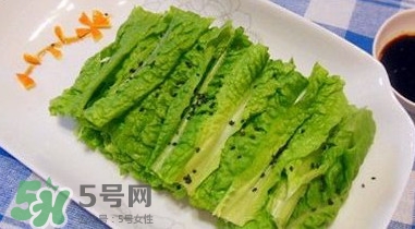 萵苣葉是什么？生菜是不是萵苣葉子