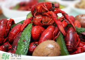 龍蝦什么時候上市？龍蝦幾月份上市？