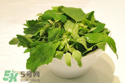灰灰菜有什么功效？灰灰菜有什么營(yíng)養(yǎng)價(jià)值