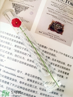 kenzo香水一枝花多少錢？kenzo一枝花香水怎么樣價(jià)格