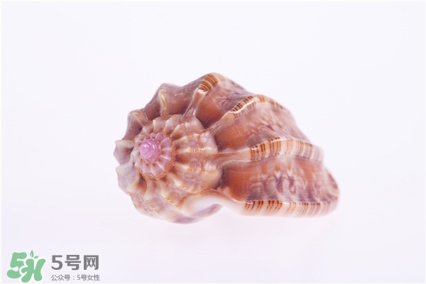 海螺的尾部能吃嗎？海螺的尾巴可以吃嗎