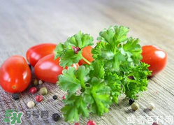 四月份可以種香菜嗎？四月份還能種香萊嗎？
