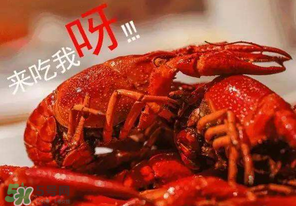 煮熟的小龍蝦隔夜能吃嗎？煮熟的小龍蝦能放多久？