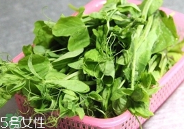 豌豆苗怎么做好吃？豌豆苗的做法