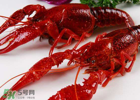 龍蝦發(fā)苦怎么回事？龍蝦發(fā)苦能吃嗎？