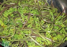 蕨菜干的營(yíng)養(yǎng)價(jià)值_蕨菜干的功效與作用及食用方法