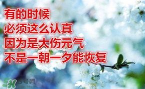 九毒日是哪幾天？2017年九毒日是哪幾天？
