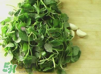 野莧菜能吃嗎？野莧菜圖片