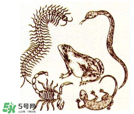 五毒日是哪幾天？2017年五毒日是哪幾天？