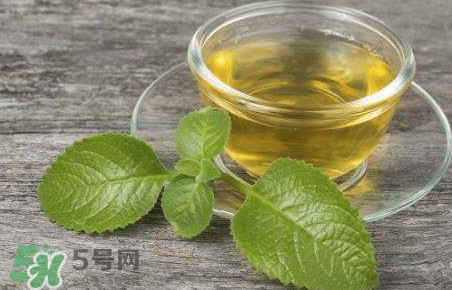 薄荷泡水喝有什么好處？薄荷葉泡水的功效