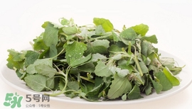 灰灰菜能吃嗎？灰灰菜怎么做菜才好吃