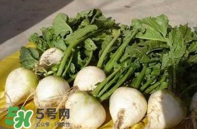 芥菜疙瘩孕婦能吃嗎？孕婦可以吃芥菜疙瘩嗎