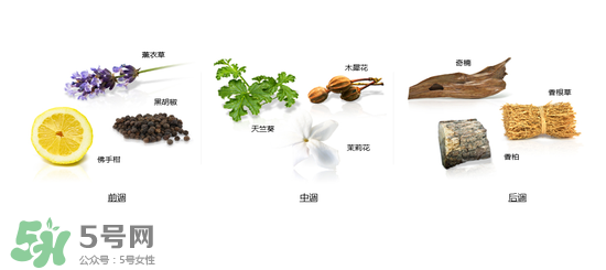 郎朗香水是什么牌子？郎朗香水是什么檔次？