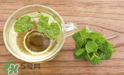 薄荷葉能生吃嗎？薄荷葉可以生吃嗎
