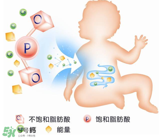kabrita佳貝艾特羊奶粉怎么樣？kabrita佳貝艾特羊奶粉好不好？