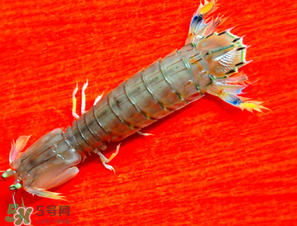 皮皮蝦煮多長(zhǎng)時(shí)間？水煮皮皮蝦多長(zhǎng)時(shí)間？