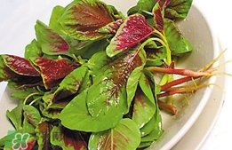 莧菜怎么吃？莧菜怎么炒