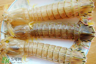 蝦爬子多少錢一斤？2017蝦爬子價格