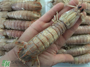 蝦爬子是蒸還是煮？蝦爬子蒸好還是煮好？