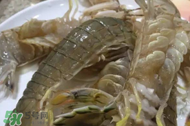 皮皮蝦可以放冰箱嗎？皮皮蝦能放冰箱保存嗎？