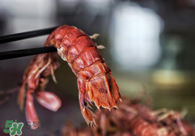 熟皮皮蝦隔夜還能吃嗎？煮熟的皮皮蝦隔夜能吃嗎？