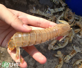 ?皮皮蝦發(fā)綠能吃嗎？?皮皮蝦變綠了還能吃嗎？