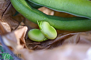 蠶豆可以放冰箱嗎？新鮮蠶豆可以放冰箱嗎？