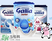 gallia佳利雅是什么品牌？gallia佳利雅奶粉是哪個(gè)國家的品牌？