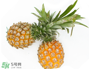 皮皮蝦和菠蘿能一起吃嗎？吃完皮皮蝦能吃菠蘿嗎？