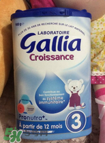 gallia佳利雅奶粉怎么沖？gallia佳利雅奶粉沖調(diào)方法？