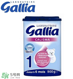 gallia佳利雅奶粉怎么沖？gallia佳利雅奶粉沖調(diào)方法？