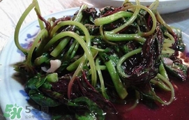 汗菜怎么摘？汗菜怎么擇