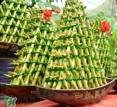富貴竹有幾個(gè)品種？富貴竹有種子嗎？