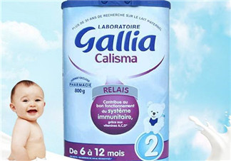 gallia佳利雅奶粉怎么樣？gallia佳利雅奶粉好嗎？