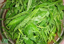 莧菜怎么吃？莧菜怎么炒