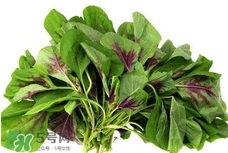 莧菜與什么相克？莧菜與什么食物相克