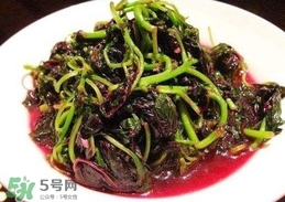 汗菜是發(fā)物嗎？汗菜是不是發(fā)物嗎