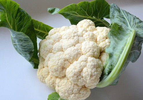 西蘭花是花菜嗎？西蘭花是菜花嗎