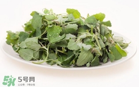 胃酸過多吃灰灰菜有好處嗎？胃酸過多能吃灰灰菜嗎