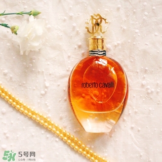 roberto cavalli是什么牌子？羅伯托卡沃利是幾線什么檔次？