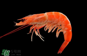 基圍蝦不能和什么一起吃？基圍蝦和什么不能一起吃？