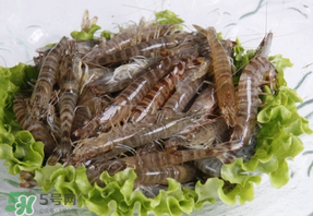 基圍蝦不能和什么一起吃？基圍蝦和什么不能一起吃？