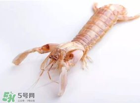 皮皮蝦什么時(shí)候有籽？皮皮蝦幾月份有籽？