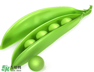 荷蘭豆能生吃嗎？荷蘭豆生的可以吃嗎？