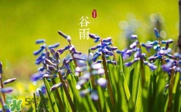 谷雨養(yǎng)生吃什么？谷雨養(yǎng)生常識(shí)